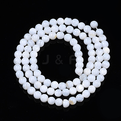Natural Freshwater Shell Beads Strands X-SHEL-N003-24-A01-1