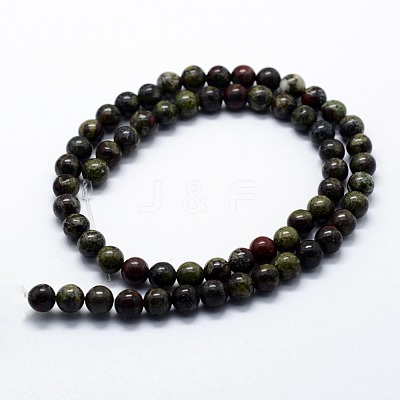 Natural Bloodstone Beads Strands G-I199-21-8mm-1