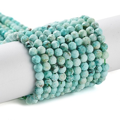 Natural Peruvian Turquoise(Jasper) Beads Strands G-J401-A01-01-1