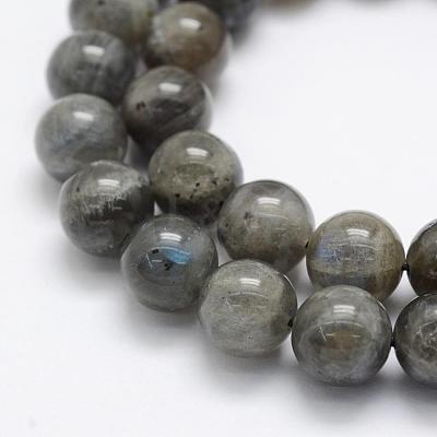 Natural Labradorite Beads Strands G-P322-31-10mm-1