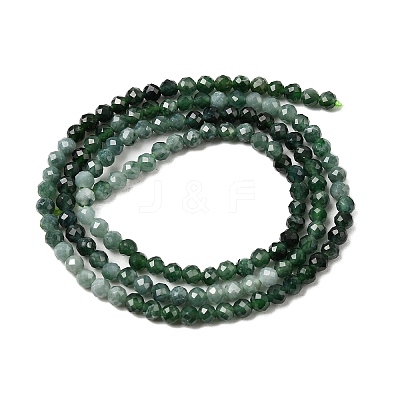 Natural Jadeite Beads Strands G-P603-C-3mm-02-1