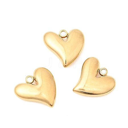 304 Stainless Steel Charms STAS-P441-02G-1