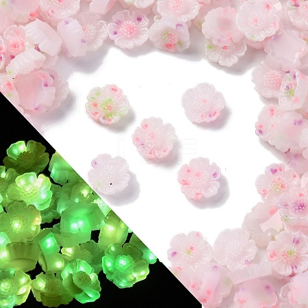 Luminous Resin Decoden Cabochons RESI-Z032-03A-1