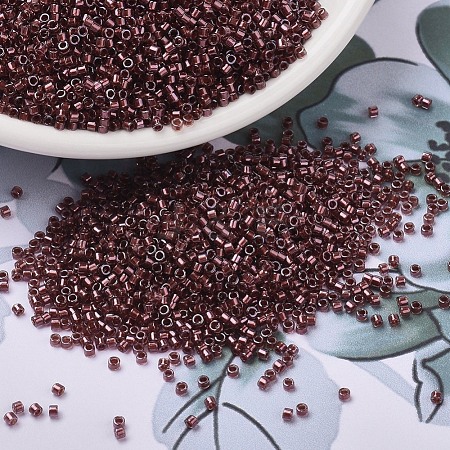 MIYUKI Delica Beads SEED-J020-DB1705-1