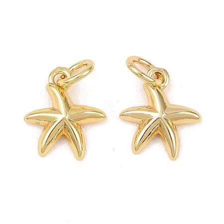 Brass Charms KK-G549-17A-G-1