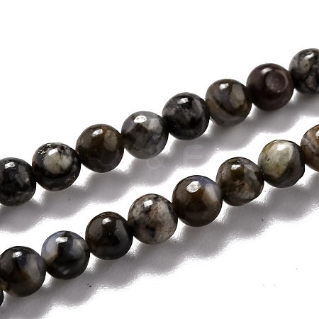 Natural Llanite Beads Strands G-O199-01A-1