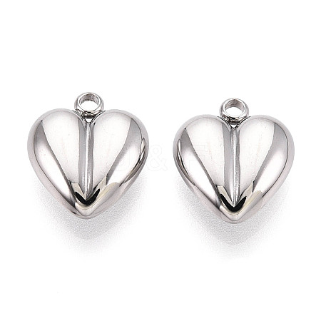 304 Stainless Steel Charms STAS-T065-80P-1