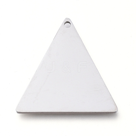 Tarnish Resistant 304 Stainless Steel Pendants STAS-L238-113B-P-1