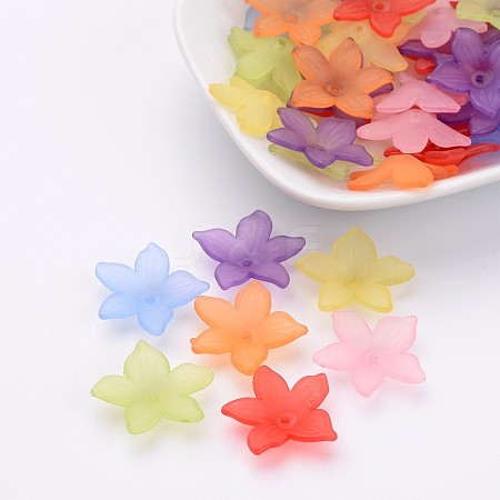 Mixed Transparent Frosted Acrylic Flower Beads X-BSF669-M-1