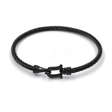 Unisex Titanium Steel Wire Rope Bangles with Hook Clasps JH3580-1-1