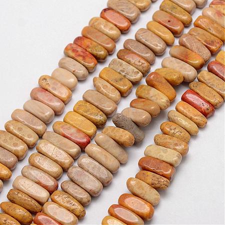 Natural Fossil Coral Beads Strands G-P171-03-1