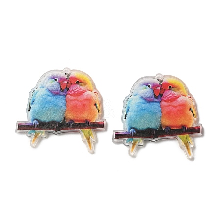Printed Transparent Acrylic Pendants TACR-P015-02A-1