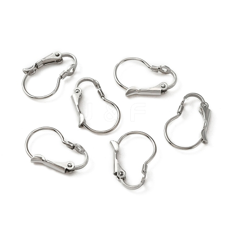 316 Surgical Stainless Steel Leverback Earring Findings STAS-WH0022-73A-1