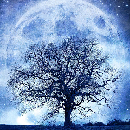 Tree & Moon DIY Diamond Painting Kits DIAM-PW0009-45C-1