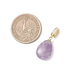 Natural Amethyst & Rose Quartz & Red Agate & Green Aventurine & Tiger Eye Pendants PALLOY-JF04935-3