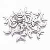 Tarnish Resistant 304 Stainless Steel Charms LS-STAS-L234-073P-1