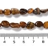 Natural Tiger Eye Beads Strands G-P497-01C-12-5