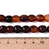 Dyed Natural Agate Beads Strands G-T144-50A-03-5