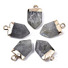 Natural Labradorite Pointed Pendants X-G-N326-34C-1