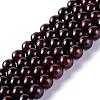 Round Natural Garnet Beads Strands G-D751-10mm-1