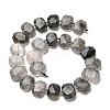 Natural Cloudy Quartz Beads Strands G-H078-B17-01-3