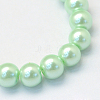 Baking Painted Pearlized Glass Pearl Round Bead Strands X-HY-Q003-6mm-04-2