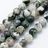 Natural Tree Agate Beads Strands G-I199-03-10mm-1