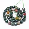 Natural Indian Agate Beads Strands G-R445-8x10-07-2