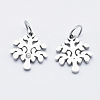 Eco-Friendly 316 Surgical Stainless Steel Micro Pave Cubic Zirconia Charms RB-I078-76P-NR-2
