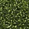6/0 Glass Seed Beads SEED-A005-4mm-24-3