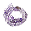 Natural Amethyst Beads Strands G-B028-A11-3