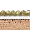 Natural Lepidolite Beads Strands G-F799-B02-10mm-5