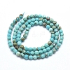 Natural Magnesite Beads Strands G-D0012-01A-2