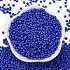 8/0 Baking Paint Glass Seed Beads SEED-M012-02A-54-2