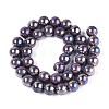 Electroplate Opaque Glass Beads Strands GLAA-T032-P10mm-AB15-2