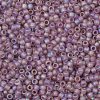 TOHO Round Seed Beads X-SEED-TR08-0166F-2