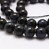 Natural Tiger Eye Bead Strands G-P230-08-A-10mm-3