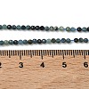 Natural Blue Tourmaline Beads Strands G-B168-A06-2mm-5
