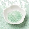 8/0 Glass Seed Beads SEED-Z001-C-E05-2