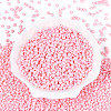 Baking Paint Glass Seed Beads SEED-N007-30E-2