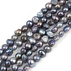 Natural Cultured Freshwater Pearl Beads Strands PEAR-P064-19D-05F-2