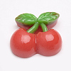 Resin Decoden Cabochons LS-CRES-T005-91-1