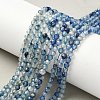Natural Agate Beads Strands X-G-E469-12W-1