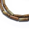 Natural Picture Jasper Beads Strands G-F631-D04-02-3