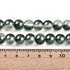 Baking Paint Transparent Glass Beads Strands DGLA-N011-10mm-07-4