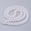 Baking Paint Transparent Glass Bead Strands GLAA-S031-12mm-13-3
