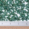 MIYUKI Round Rocailles Beads X-SEED-G007-RR0289-2