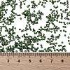MIYUKI Round Rocailles Beads SEED-X0056-RR0306-3