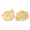 Eco-Friendly Rack Plating Brass Pendants KK-R143-16G-2