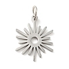 Non-Tarnish 201 Stainless Steel Pendants STAS-E015-01P-1